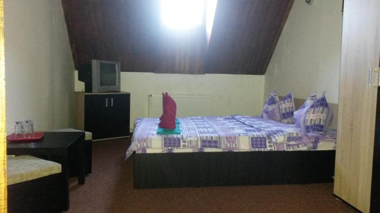 Гостевой дом Casa Frasin Буштени-18
