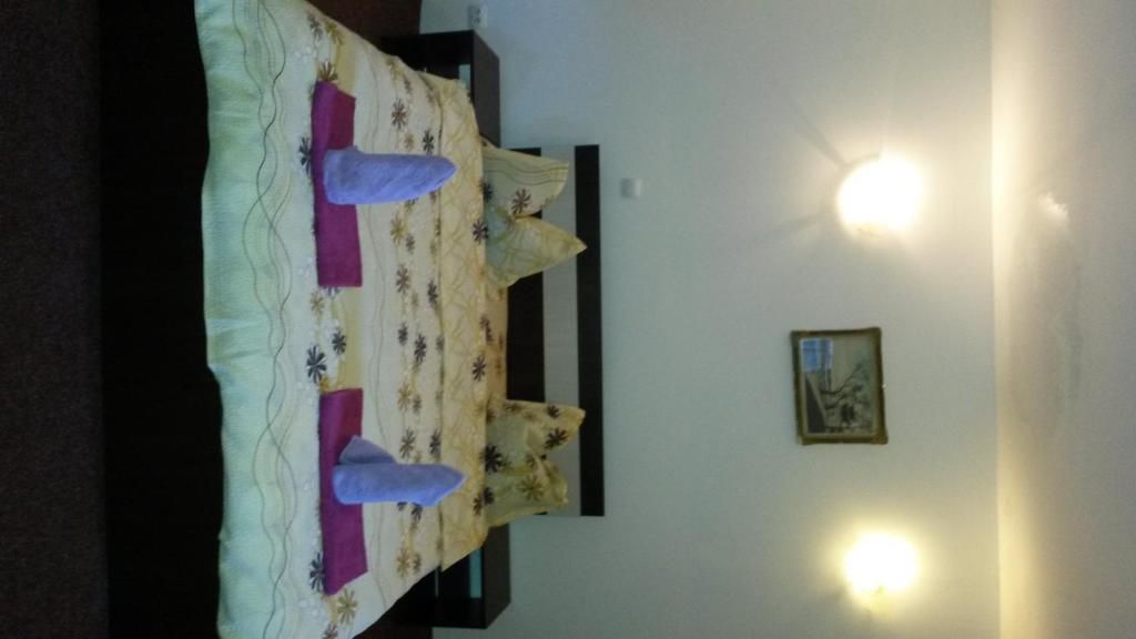 Гостевой дом Casa Frasin Буштени-35