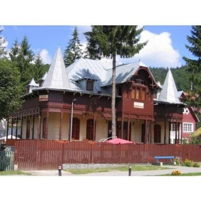 Гостевой дом Casa Frasin Буштени-4