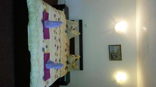 Гостевой дом Casa Frasin Буштени-34